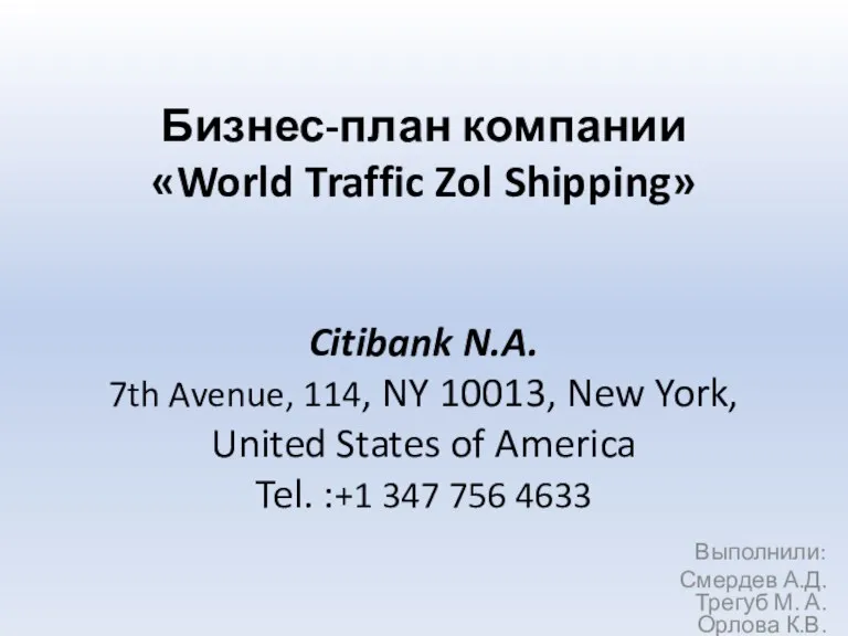 Бизнес-план компании World Traffic Zol Shipping