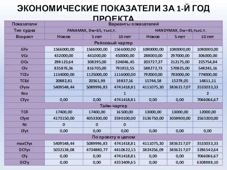 ЭКОНОМИЧЕСКИЕ ПОКАЗАТЕЛИ ЗА 1-Й ГОД ПРОЕКТА