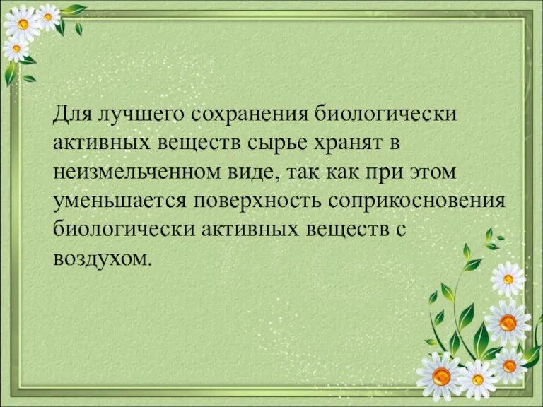 Для лучшего сохранения биологически активных веществ сырье хранят в неизмельченном