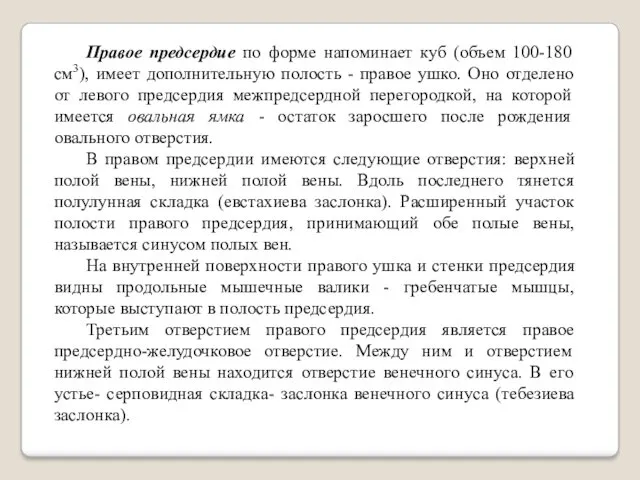 Правое предсердие по форме напоминает куб (объем 100-180 см3), имеет