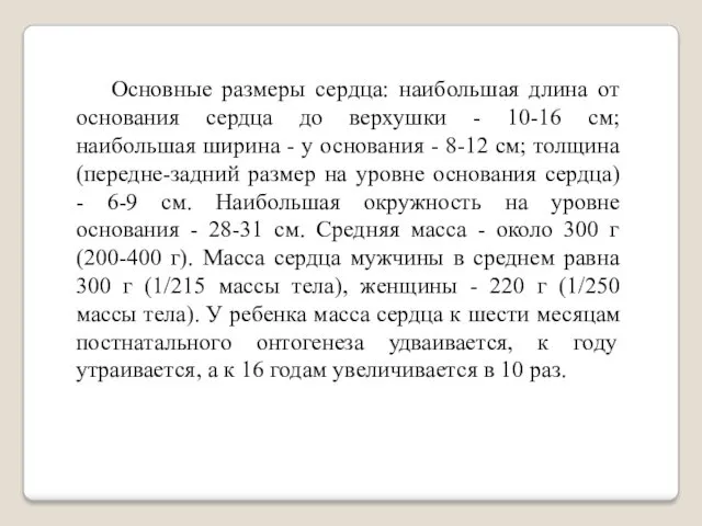 Основные размеры сердца: наибольшая длина от основания сердца до верхушки