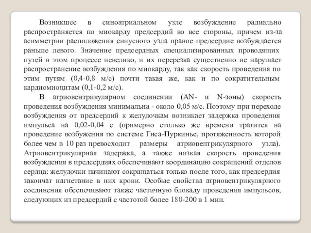 Возникшее в синоатриальном узле возбуждение радиально распространяется по миокарду предсердий