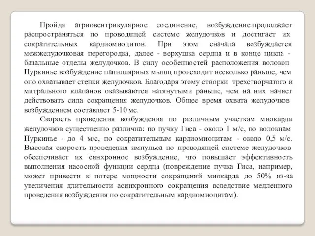 Пройдя атриовентрикулярное соединение, возбуждение продолжает распространяться по проводящей системе желудоч­ков