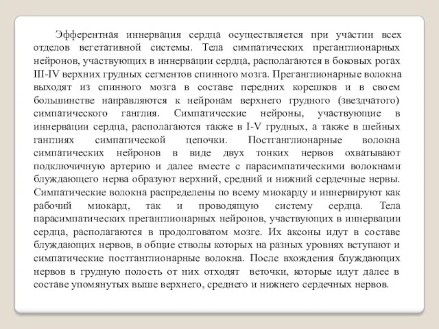 Эфферентная иннервация сердца осуществляется при участии всех отделов вегетативной системы.