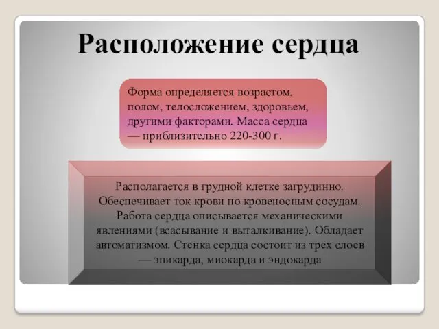 Располагается в грудной клетке загрудинно. Обеспечивает ток крови по кровеносным