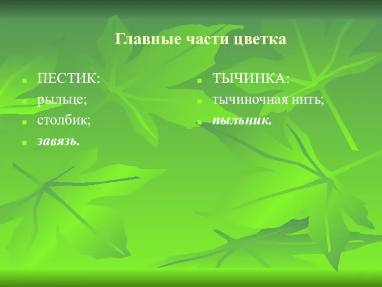 Главные части цветка ПЕСТИК: рыльце; столбик; завязь. ТЫЧИНКА: тычиночная нить; пыльник.