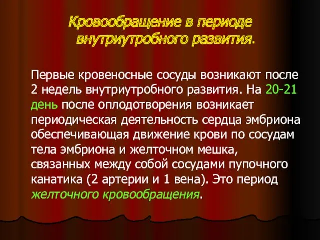 Кровообращение в периоде внутриутробного развития. Первые кровеносные сосуды возникают после