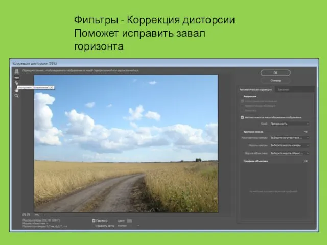 Фильтры - Коррекция дисторсии Поможет исправить завал горизонта