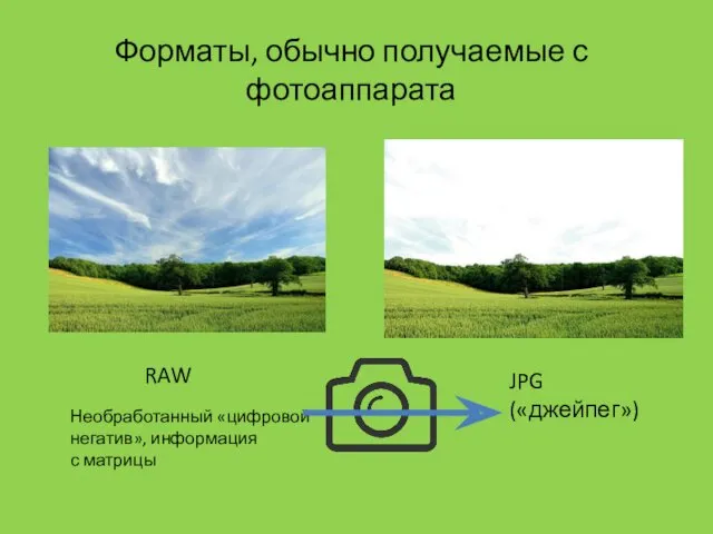 RAW Форматы, обычно получаемые с фотоаппарата JPG («джейпег») Необработанный «цифровой негатив», информация с матрицы