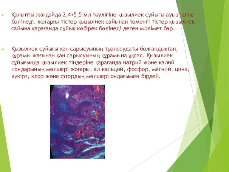 Қалыпты жағдайда 2,4+5,5 мл тәулігіне қызылиек сұйығы ауыз ішіне бөлінеді.