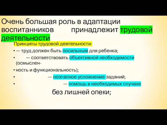 Очень большая роль в адаптации воспитанников принадлежит трудовой деятельности Принципы