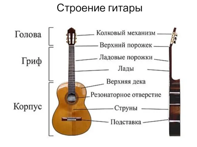Строение гитары