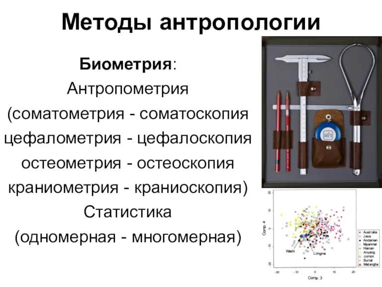 Методы антропологии Биометрия: Антропометрия (соматометрия - соматоскопия цефалометрия - цефалоскопия