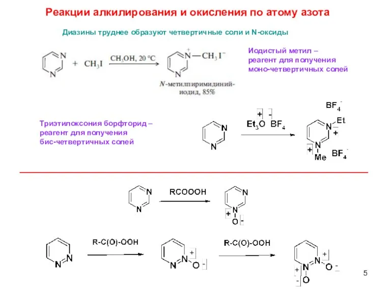 Диазины труднее образуют четвертичные соли и N-оксиды Реакции алкилирования и