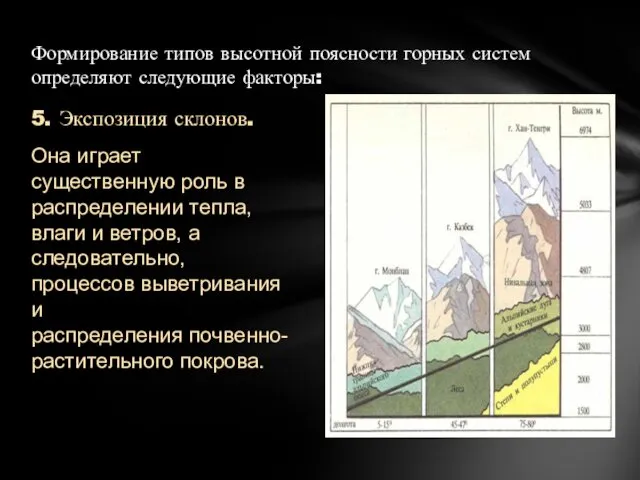 Формирование типов высотной поясности горных систем определяют следующие факторы: 5. Экспозиция склонов. Она