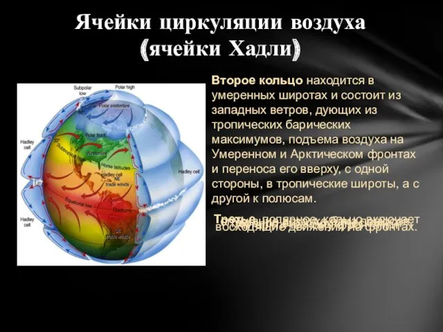 Второе кольцо находится в умеренных широтах и состоит из западных