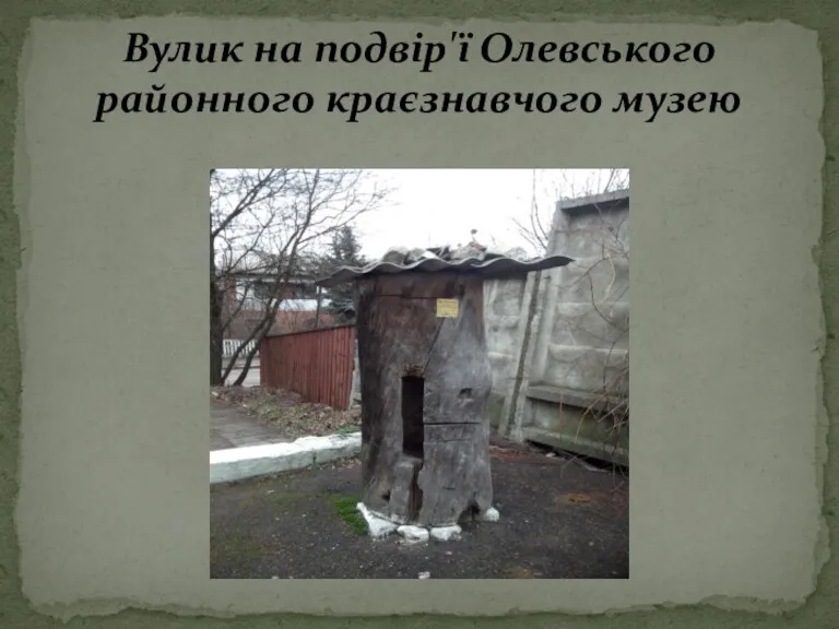 Вулик на подвір'ї Олевського районного краєзнавчого музею