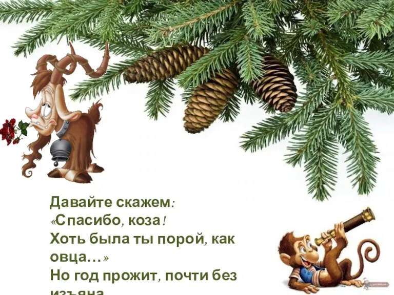 Давайте скажем: «Спасибо, коза! Хоть была ты порой, как овца…» Но год прожит,