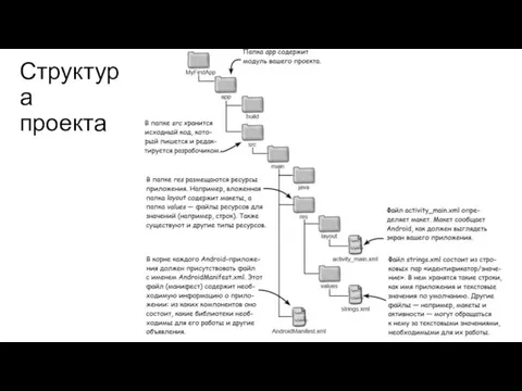 Структура проекта