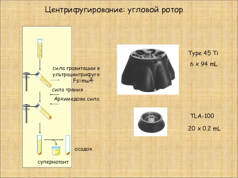 Центрифугирование: угловой ротор сила гравитации в ультрацентрифуге Fs=mω r супернатант