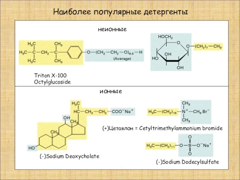 Наиболее популярные детергенты неионные ионные Triton X-100 Octylglucoside (-)Sodium Deoxycholate (-)Sodium Dodecylsulfate (+)Цетавлон = Cetyltrimethylammonium bromide