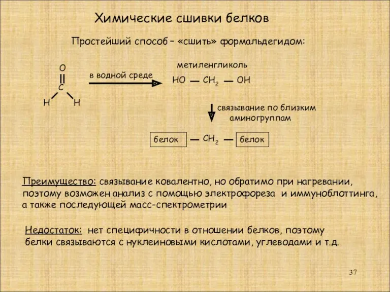 Химические сшивки белков С О Н Н Простейший способ –