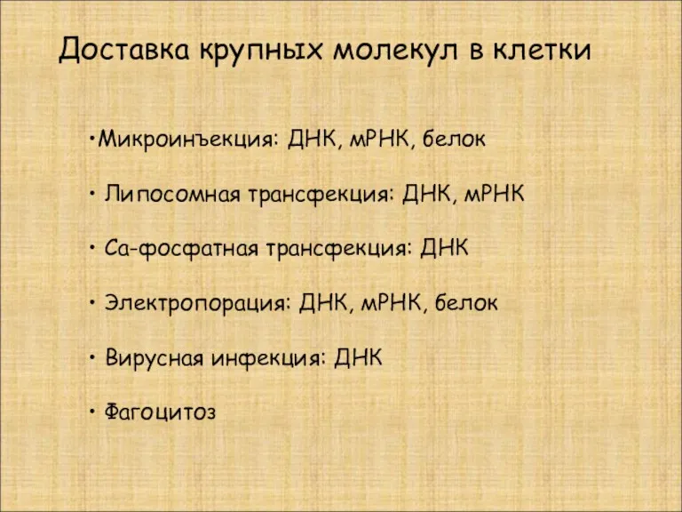 Доставка крупных молекул в клетки Микроинъекция: ДНК, мРНК, белок Липосомная