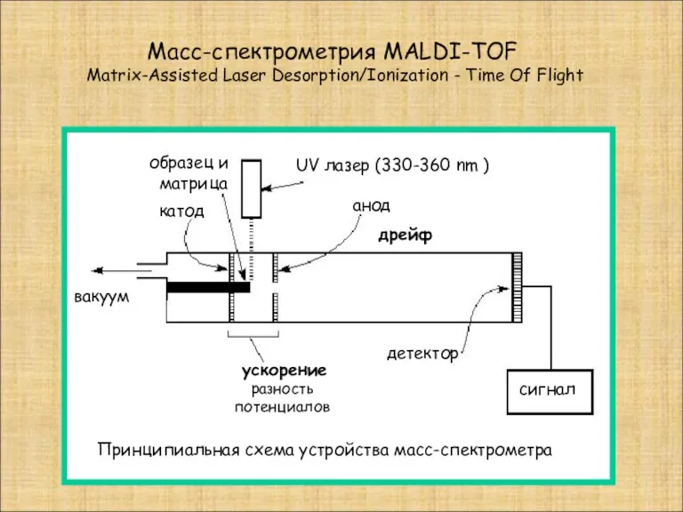 Масс-спектрометрия MALDI-TOF Matrix-Assisted Laser Desorption/Ionization - Time Of Flight UV