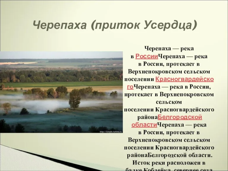 Черепаха (приток Усердца) Черепаха — река в РоссииЧерепаха — река