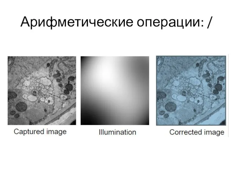 Арифметические операции: /