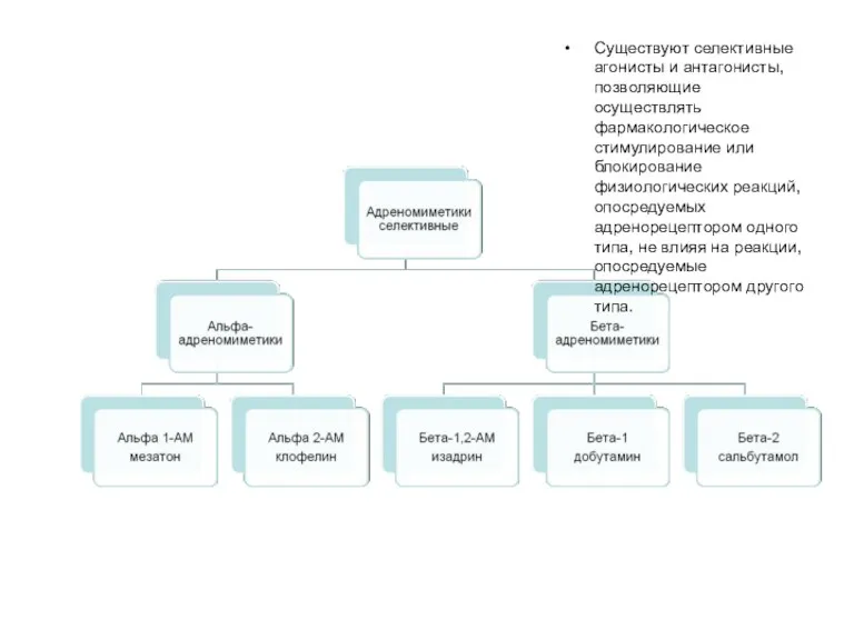 Существуют селективные агонисты и антагонисты, позволяющие осуществлять фармакологическое стимулирование или