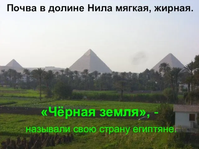 Почва в долине Нила мягкая, жирная. «Чёрная земля», - называли свою страну египтяне.