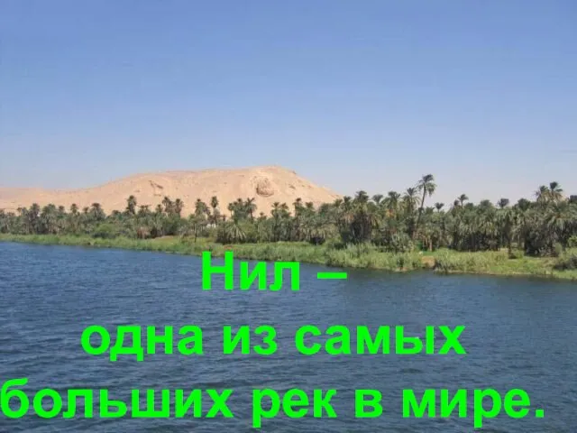 Нил – одна из самых больших рек в мире.