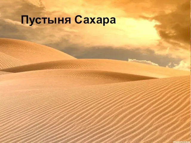 Пустыня Сахара