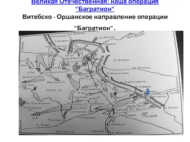 Великая Отечественная: наша операция "Багратион" Витебско - Оршанское направление операции "Багратион".