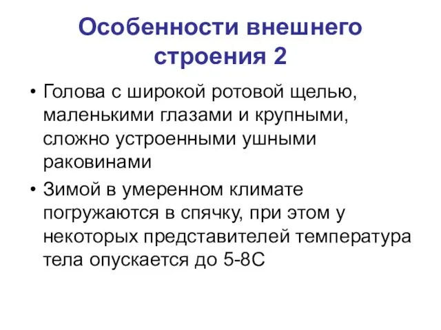 Особенности внешнего строения 2 Голова с широкой ротовой щелью, маленькими глазами и крупными,