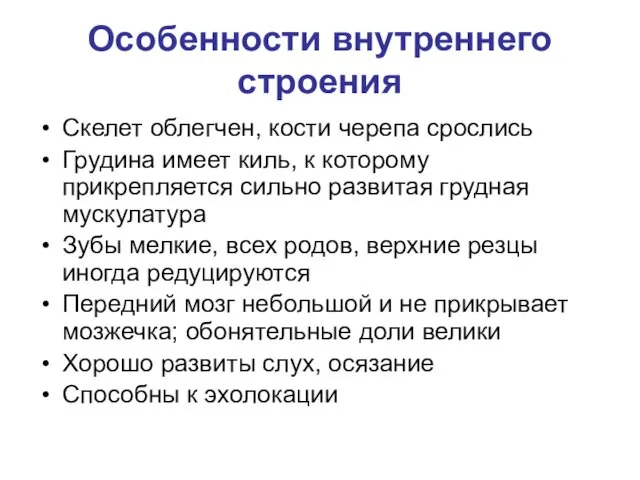 Особенности внутреннего строения Скелет облегчен, кости черепа срослись Грудина имеет