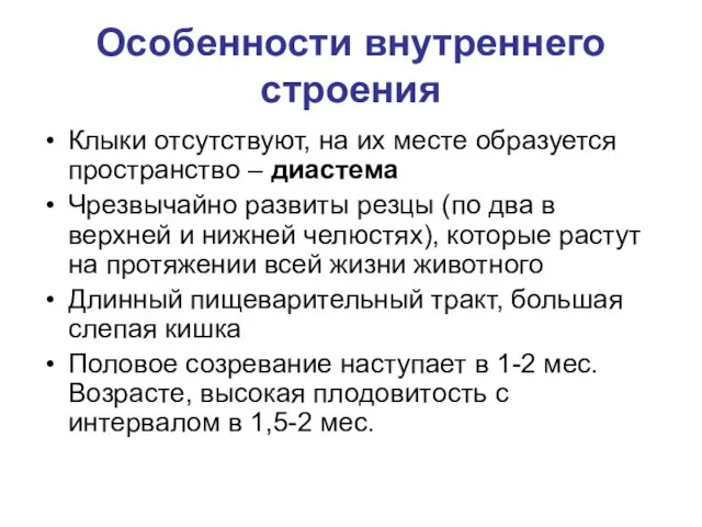 Особенности внутреннего строения Клыки отсутствуют, на их месте образуется пространство