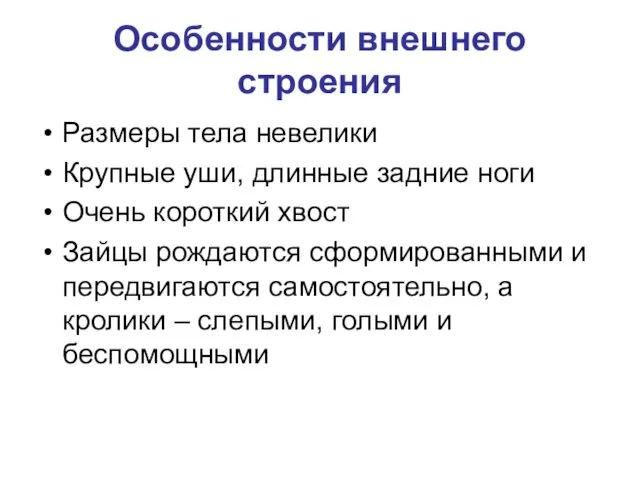 Особенности внешнего строения Размеры тела невелики Крупные уши, длинные задние