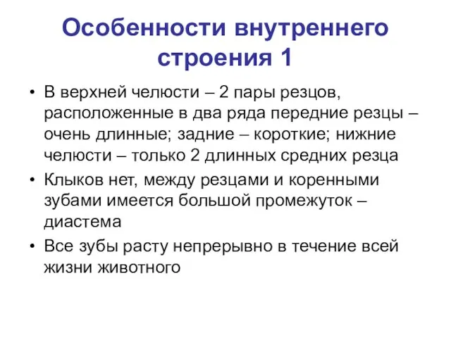 Особенности внутреннего строения 1 В верхней челюсти – 2 пары резцов, расположенные в