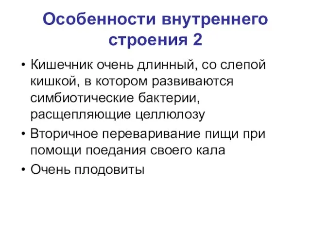 Особенности внутреннего строения 2 Кишечник очень длинный, со слепой кишкой, в котором развиваются