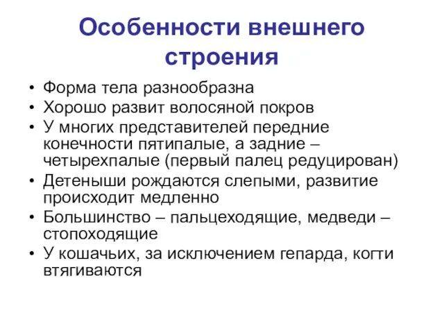 Особенности внешнего строения Форма тела разнообразна Хорошо развит волосяной покров