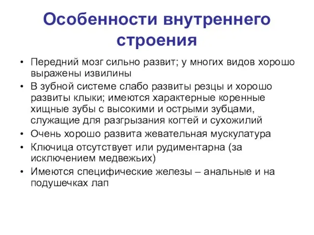 Особенности внутреннего строения Передний мозг сильно развит; у многих видов хорошо выражены извилины