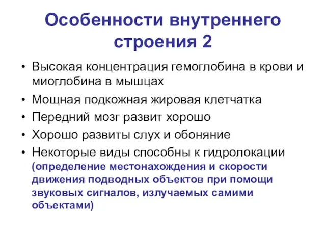 Особенности внутреннего строения 2 Высокая концентрация гемоглобина в крови и