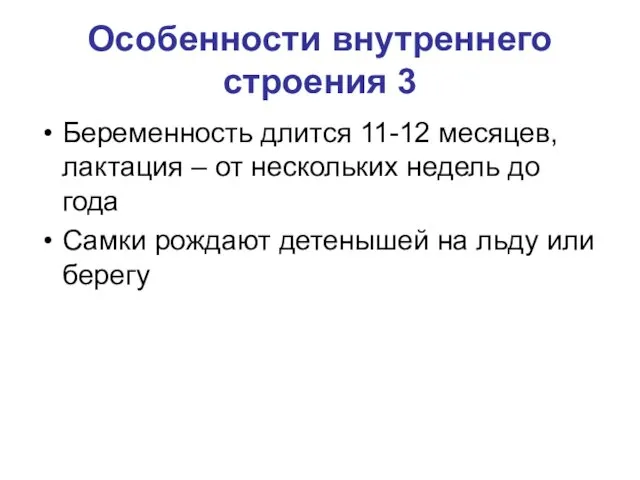 Особенности внутреннего строения 3 Беременность длится 11-12 месяцев, лактация –