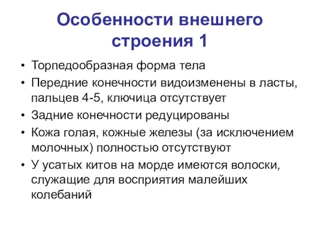 Особенности внешнего строения 1 Торпедообразная форма тела Передние конечности видоизменены