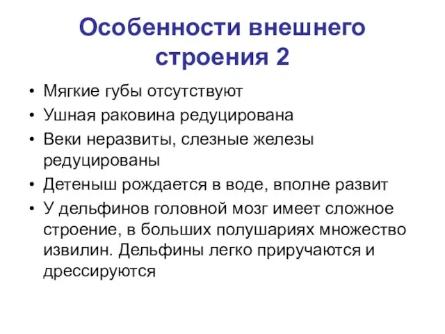 Особенности внешнего строения 2 Мягкие губы отсутствуют Ушная раковина редуцирована