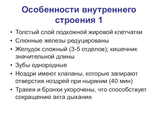 Особенности внутреннего строения 1 Толстый слой подкожной жировой клетчатки Слюнные железы редуцированы Желудок