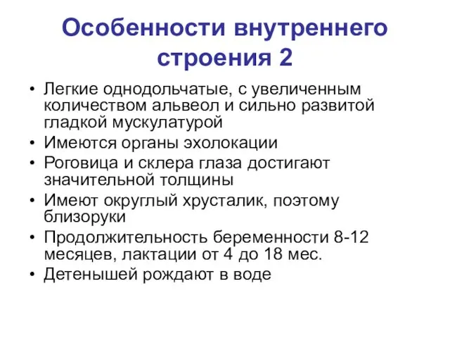 Особенности внутреннего строения 2 Легкие однодольчатые, с увеличенным количеством альвеол