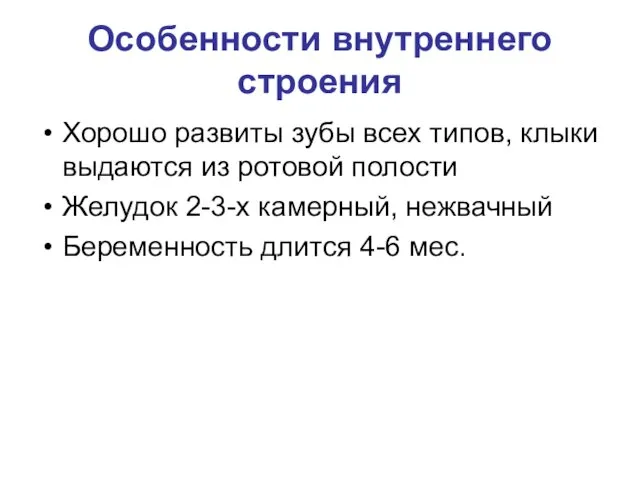 Особенности внутреннего строения Хорошо развиты зубы всех типов, клыки выдаются из ротовой полости